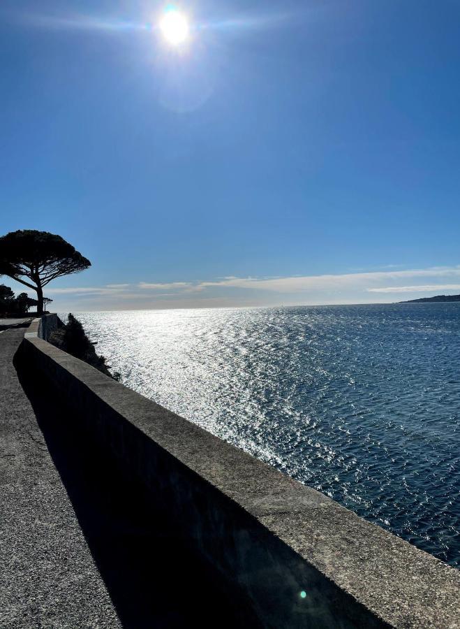 Appartement Sainte-Maxime, Plage De La Nartelle エクステリア 写真